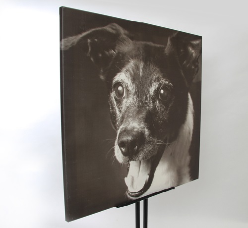 Afbeelding hond canvas